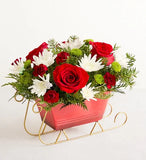 Dashing Through the Snow Sleigh™