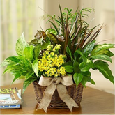 European Dish Garden