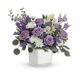 Honey Lavender Blooms