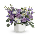 Honey Lavender Blooms