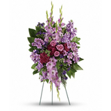 Lavender Reflections