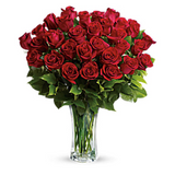 Love & Devotion Long Stem Roses