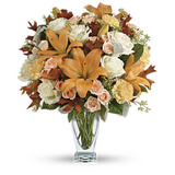 Seasonal Sophistication