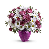 Teleflora’s Pink Daisy Delight