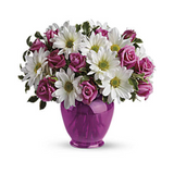 Teleflora’s Pink Daisy Delight