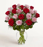 Ultimate Elegance Long Stem Pink & Red Roses