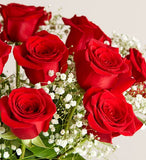 Blooming Love Premium Red Roses