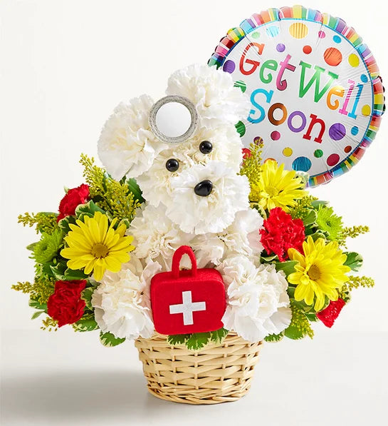 Cure-All Doggie