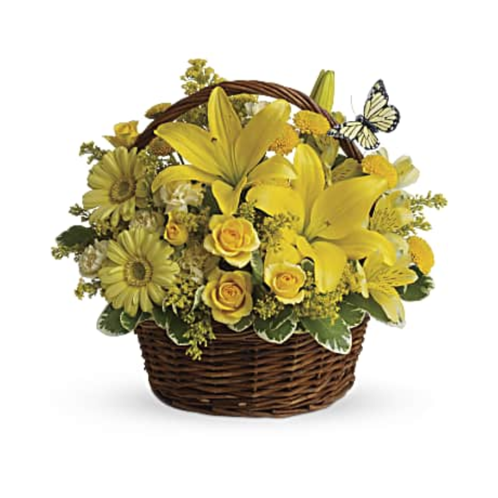 Basket Full of Wishes