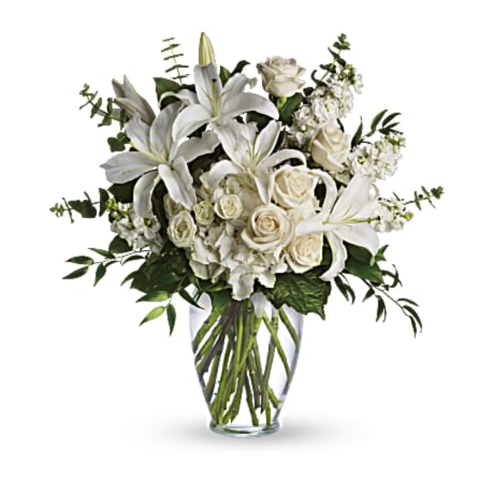 Dreams From The Heart