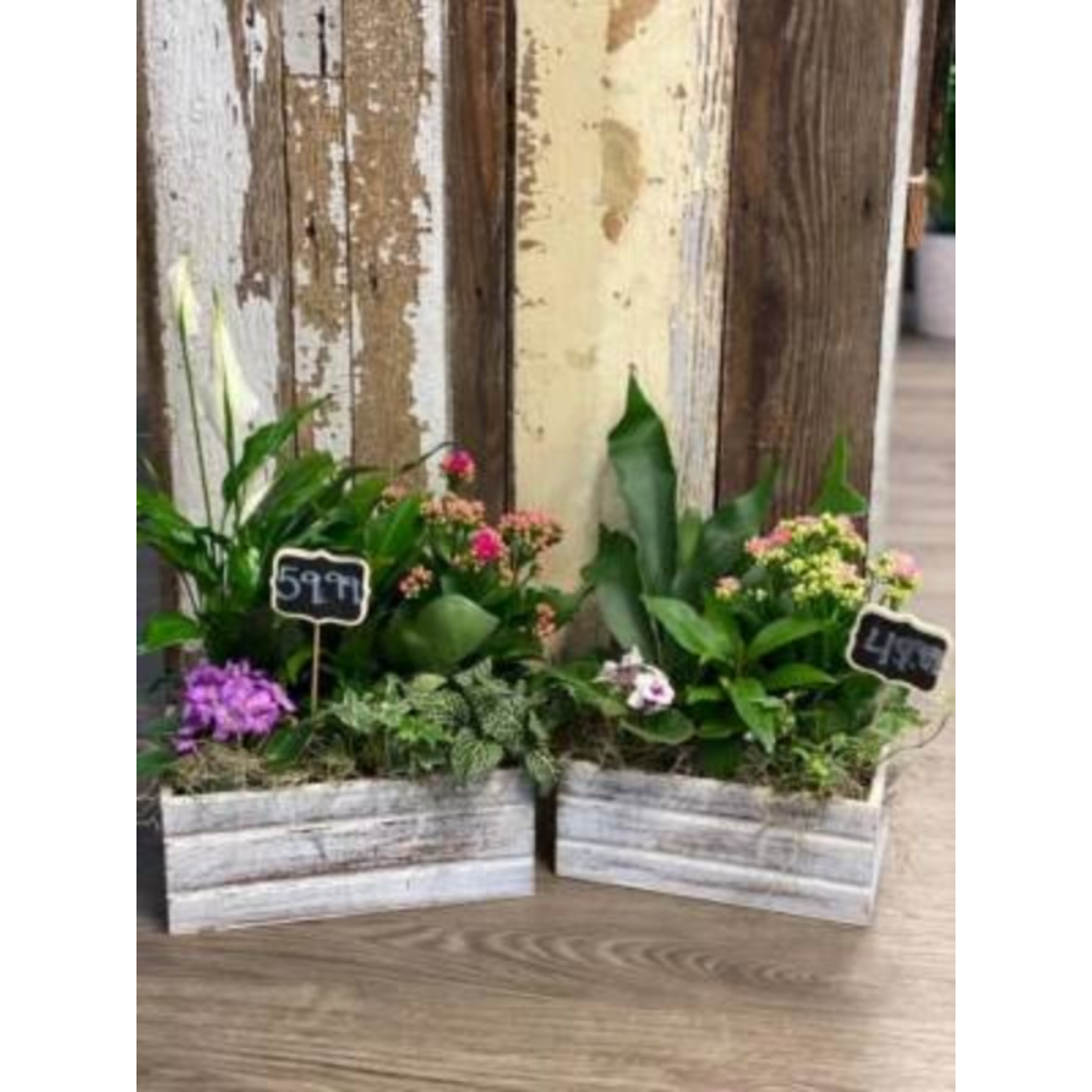 Grandma’s Window Box