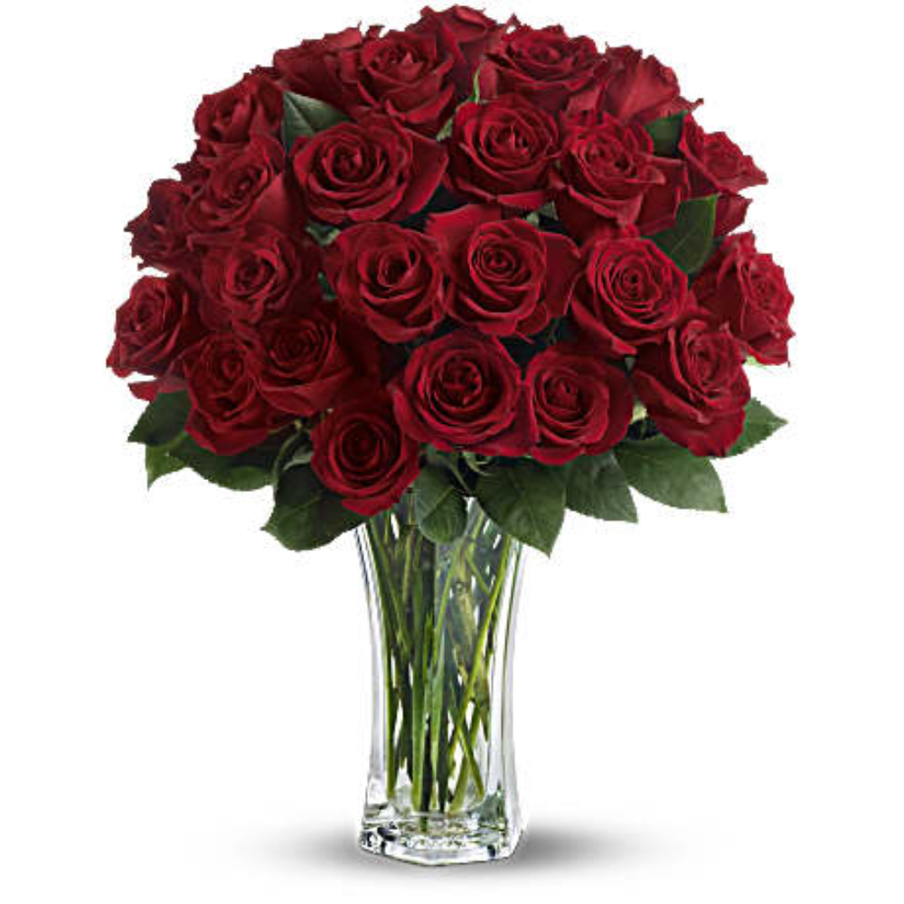 Devotion Rose Love & Devotion Long Stem Roses – Passion Flowers FL