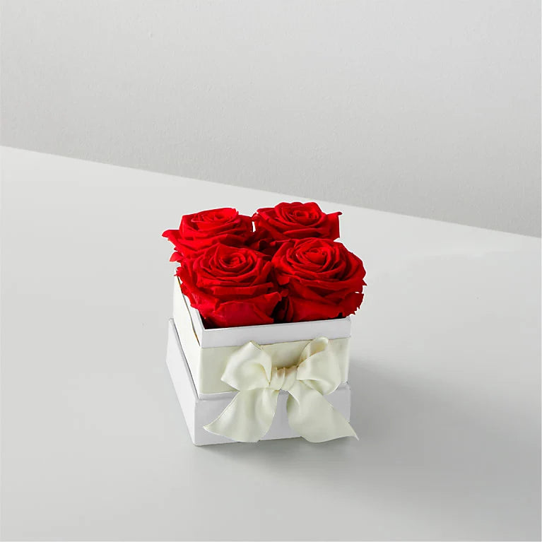 Red Forever Roses