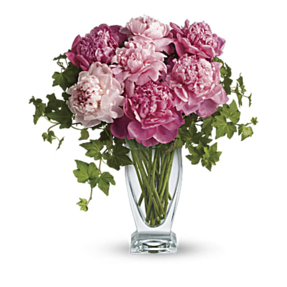 Perfect Peonies